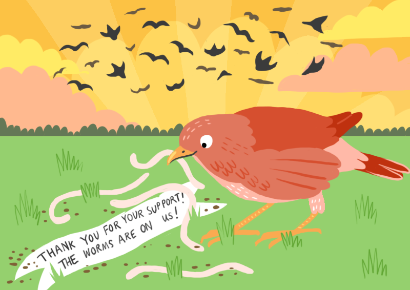 The Insider’s Guide to Earlybirds